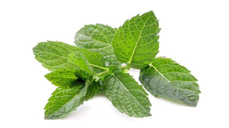 Mint v Hondrolife